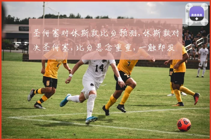 圣何塞对休斯敦比分预测,休斯敦对决圣何塞,比分悬念重重,一触即发